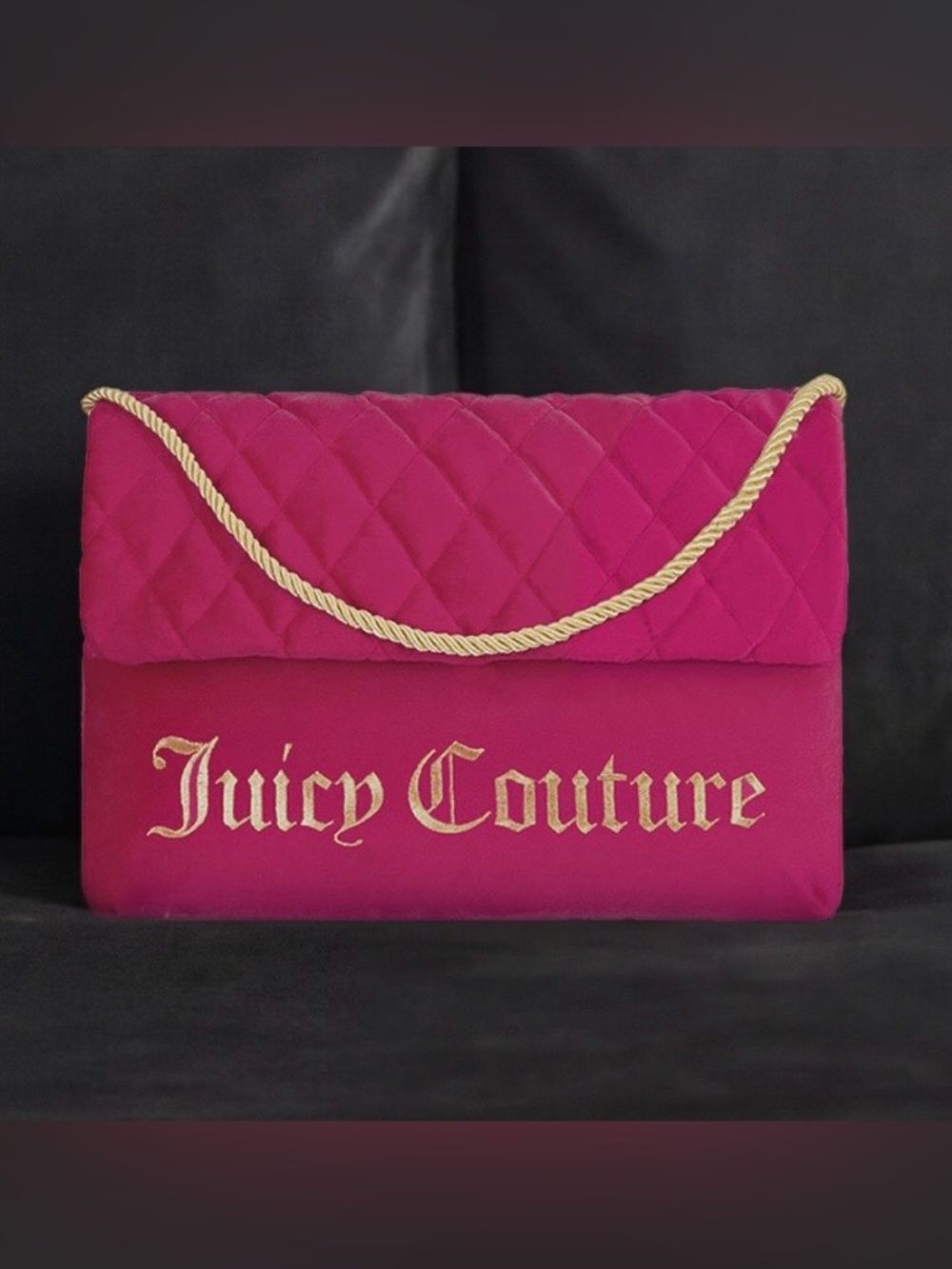 Juicy Couture Hot Pink w/Gold Rope & Embroidered Logo Purse Style Pillow NWT - Picture 6 of 8